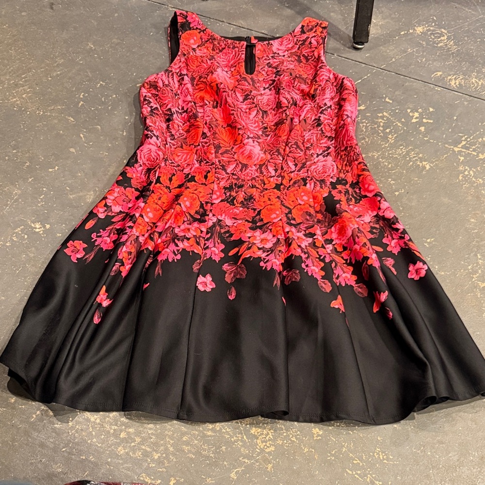 Gabby Skye Red and Black Floral Dress